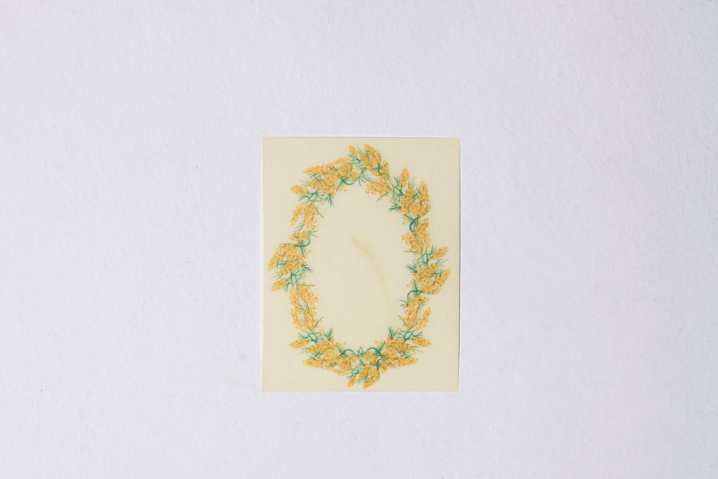 トレーシングペーパー　メッセージカード　ミモザ　２柄×5枚＝10枚入り